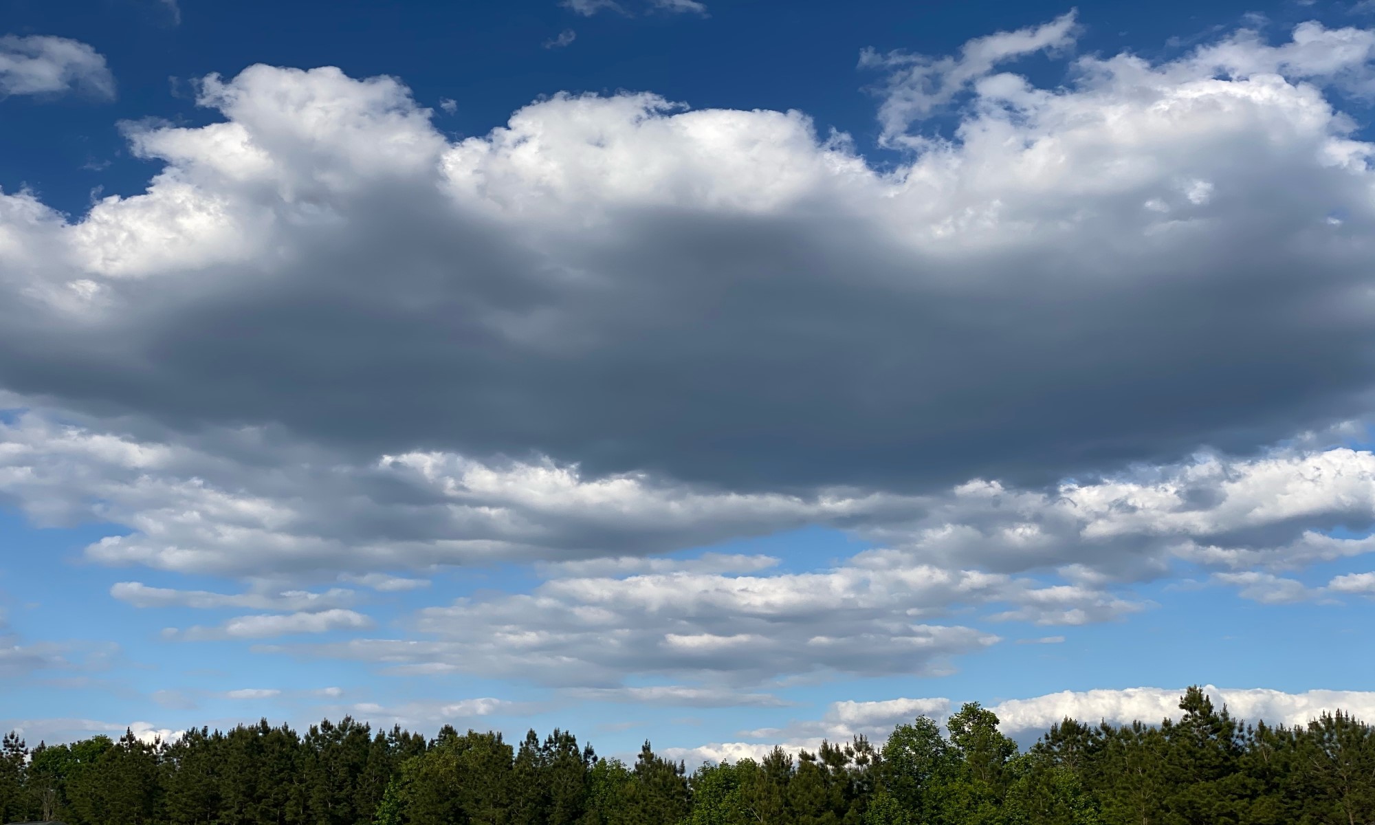 Clouds over a Treeline